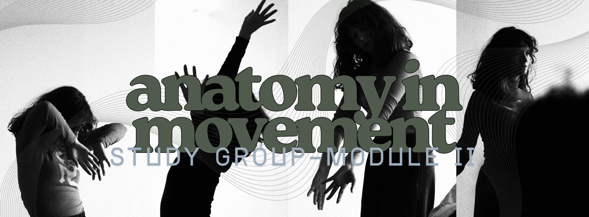 Anatomy in Movement - module II