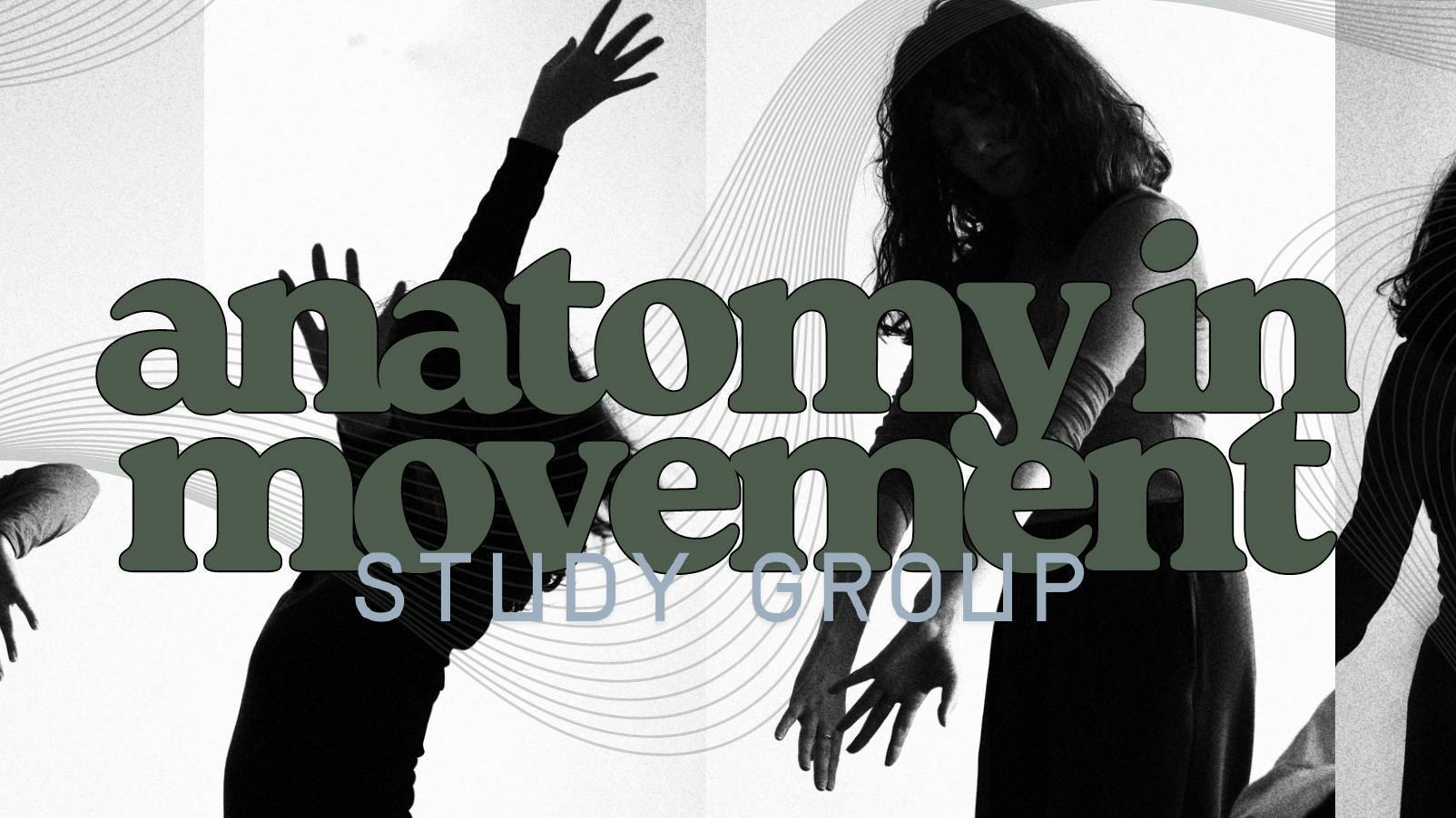 Anatomy in Movement | Study Group