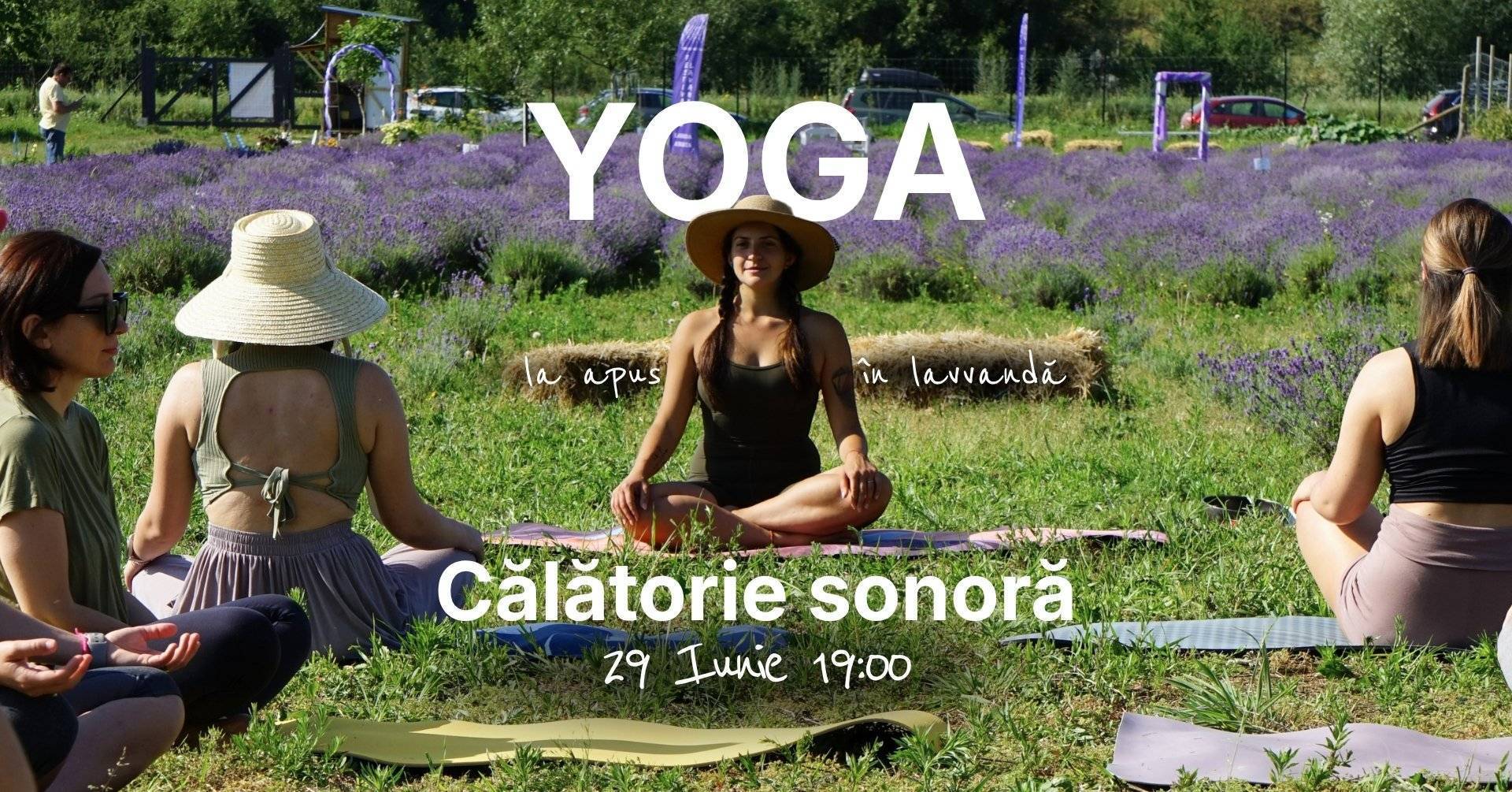 Apus în lanul de lavandă cu yoga și călătorie sonoră cu boluri de cristal | Brasov