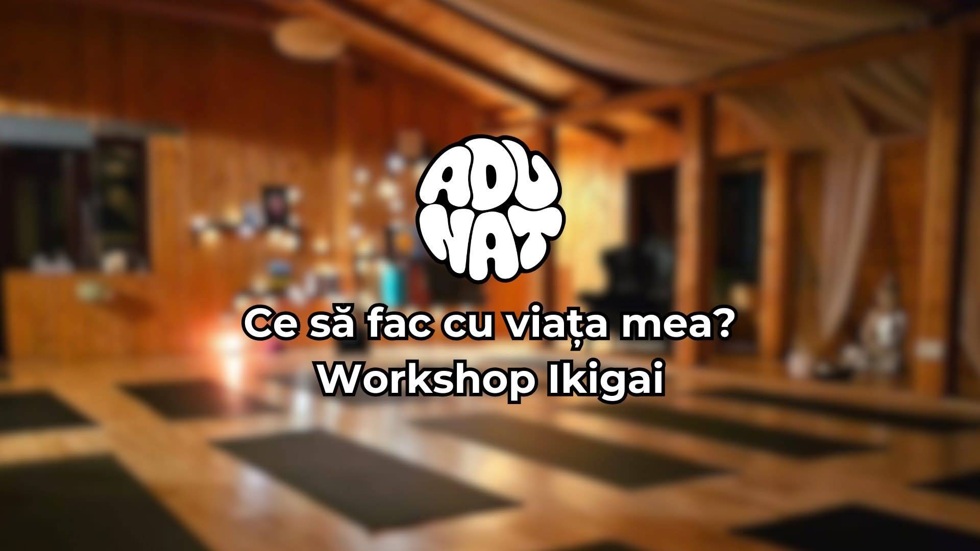 Care e rolul meu? | Atelier de Ikigai (Sensul Vieții) BUCUREȘTI
