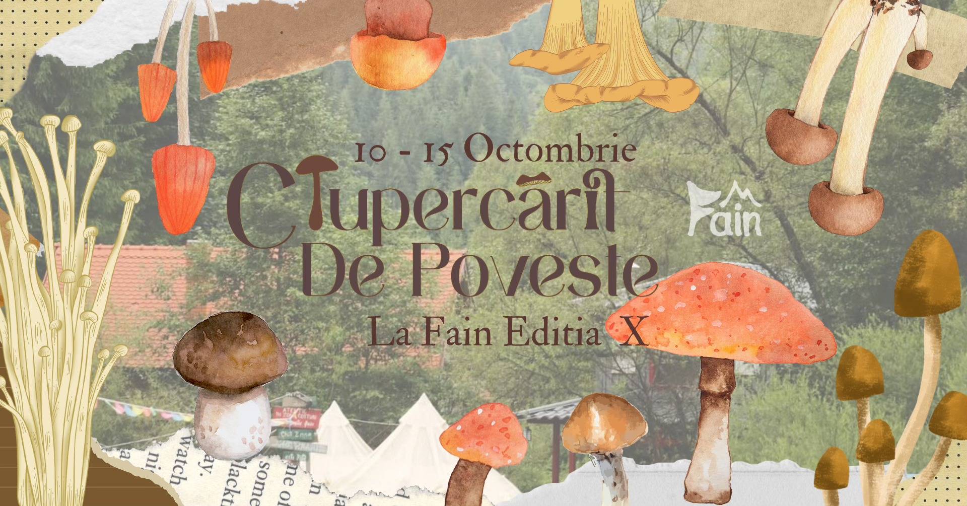 Ciupercărit de Poveste la Camping Fain - a 10-a ediție