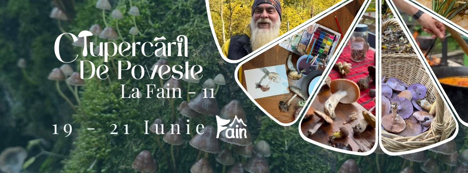 Ciupercărit de Poveste XI la Camping Fain