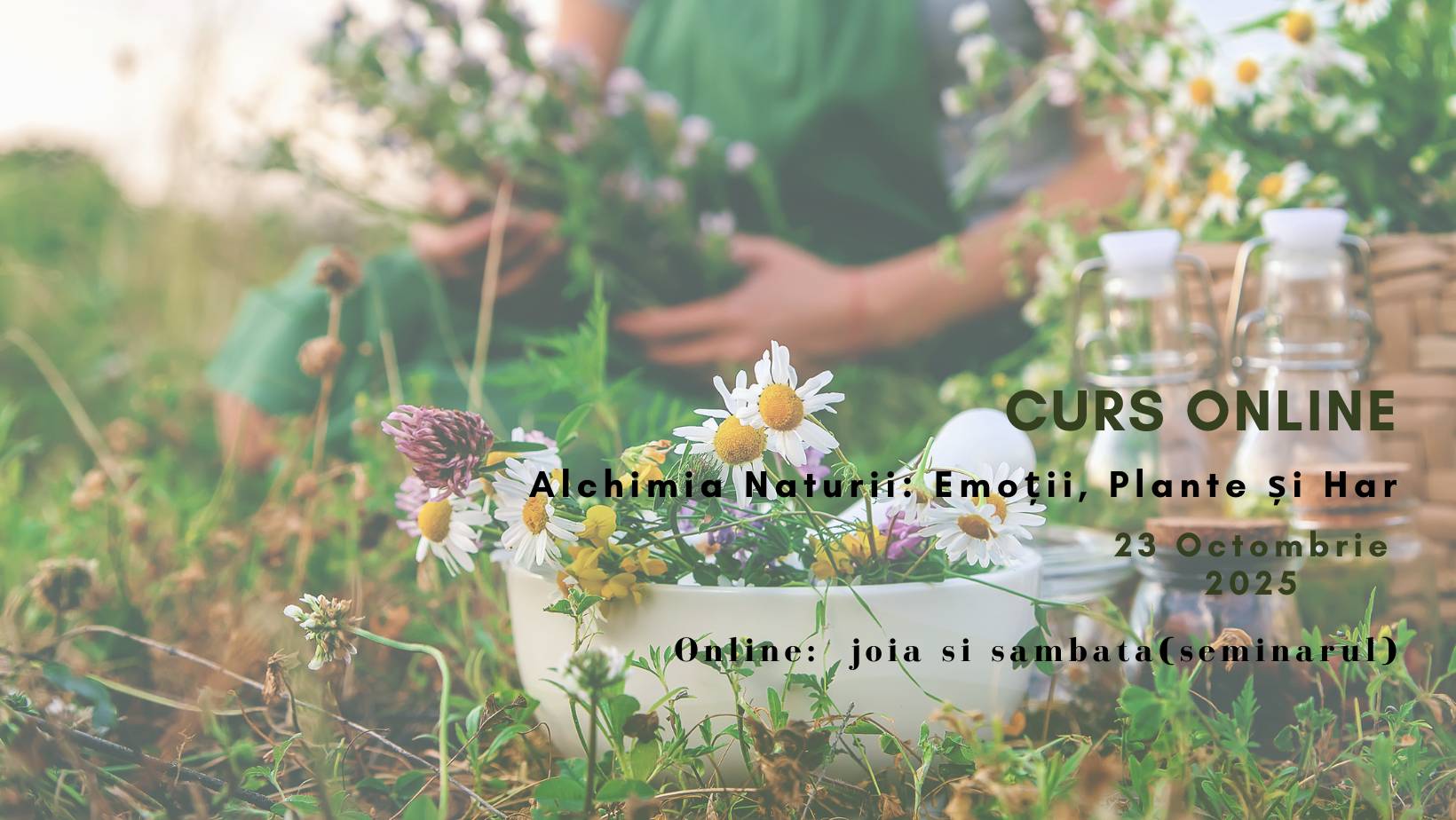 Curs Online: Alchimia Naturii: Emoții, Plante și Har