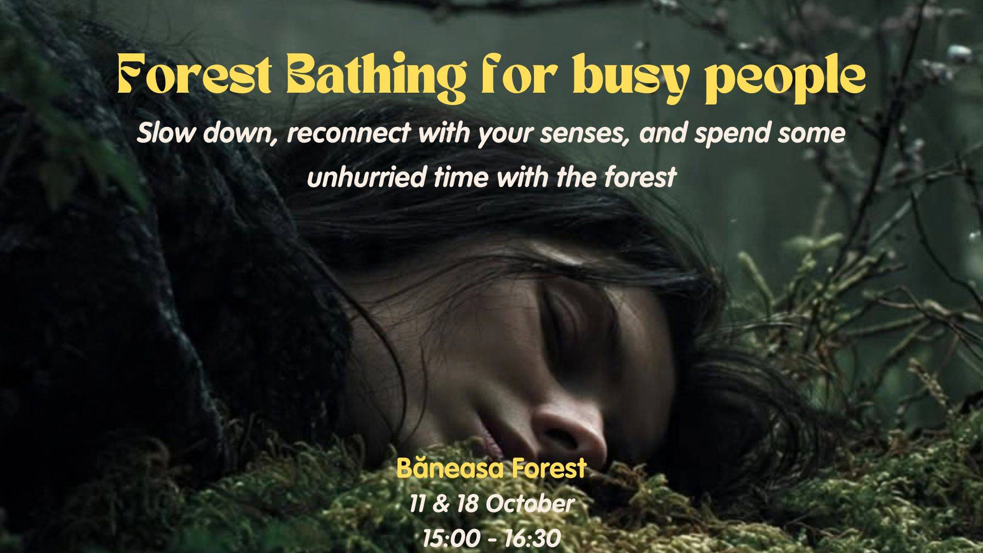 Forest Bathing for Busy People