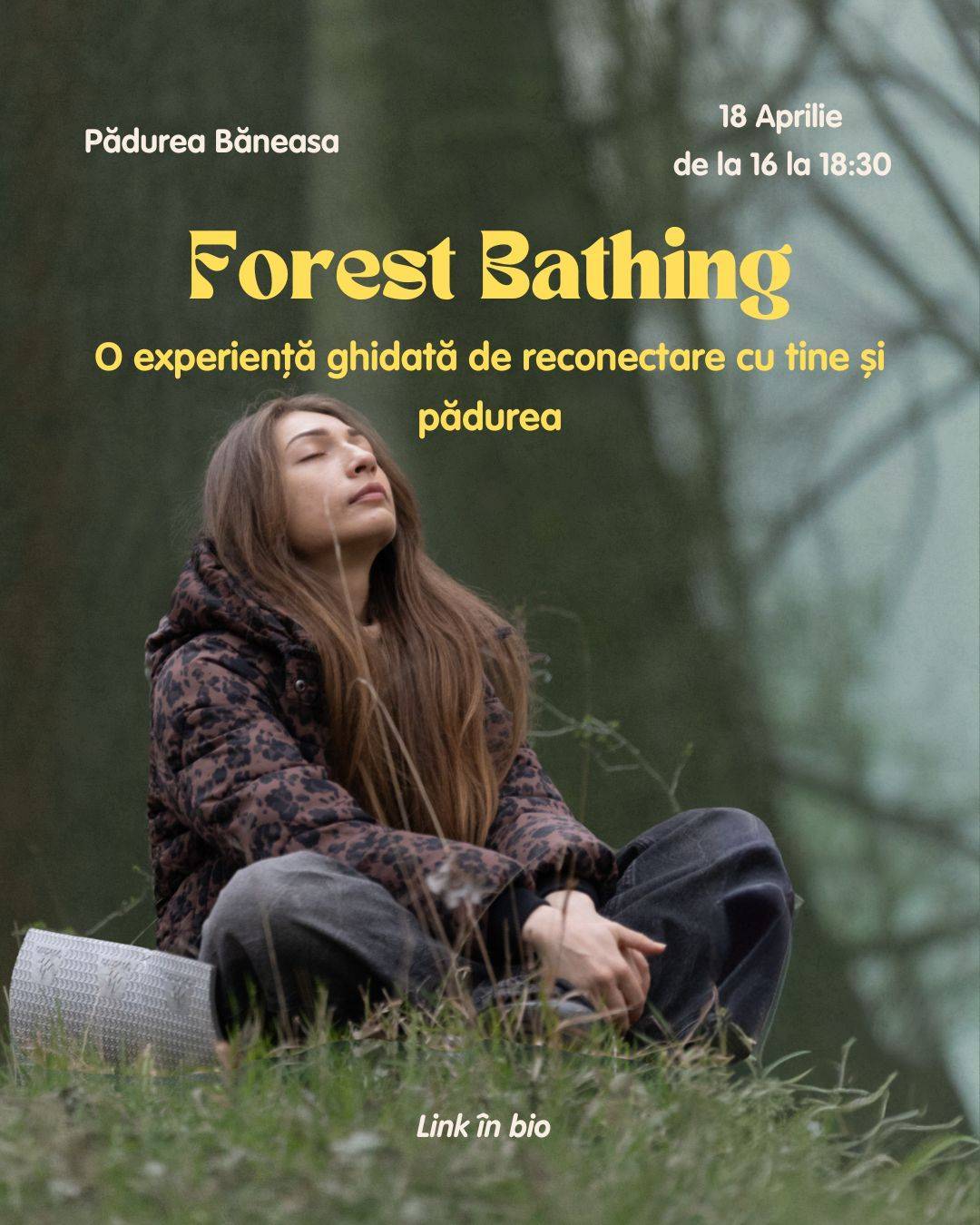 Forest Bathing: O experiență de reconectare cu tine și pădurea