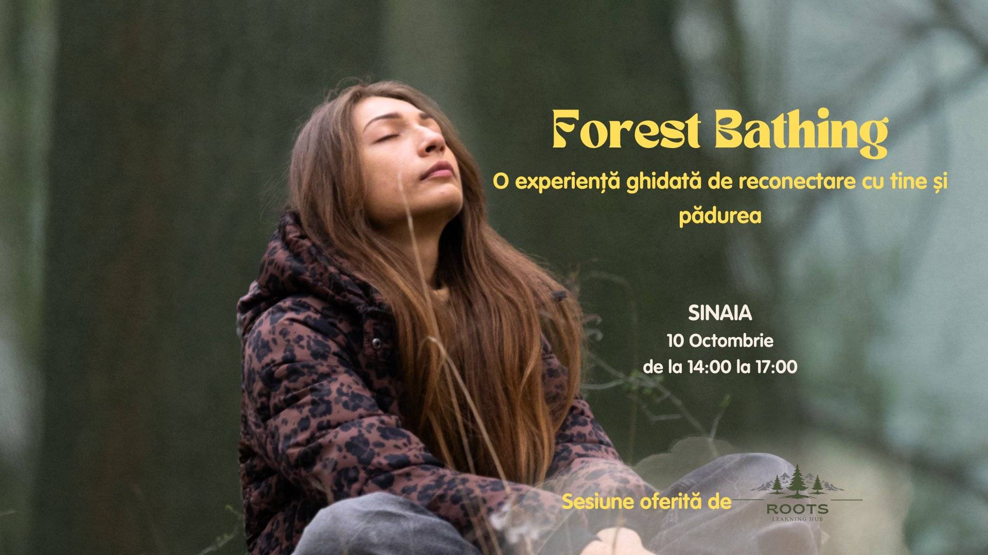 Forest Bathing - O experiență ghidată de reconectare cu tine și pădurea