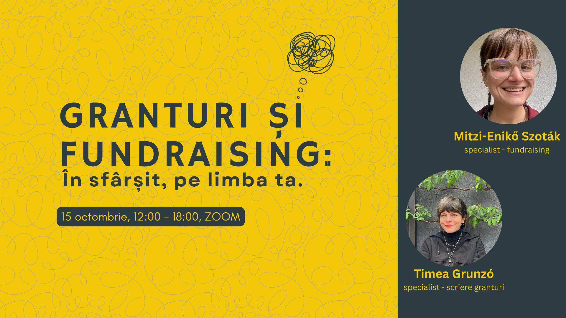 Granturi și Fundraising - în sfârșit pe limba ta