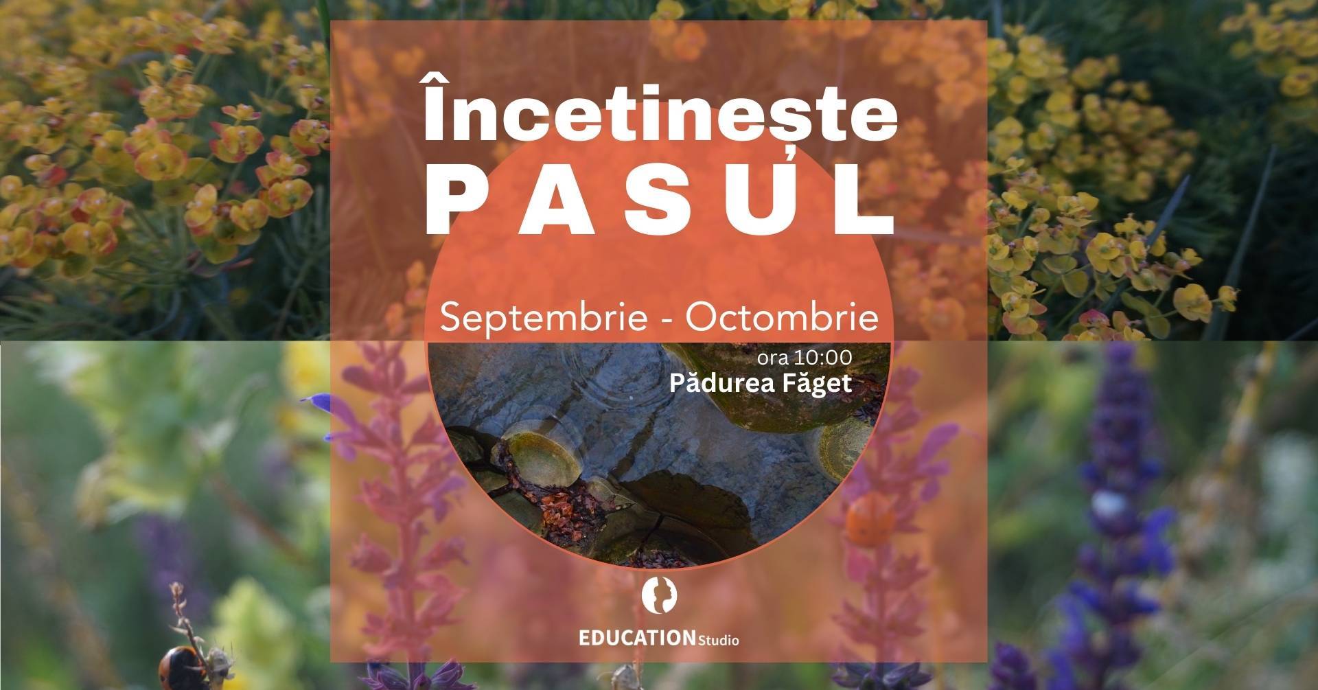 Încetinește Pasul - explorări în natură prin Forest Therapy