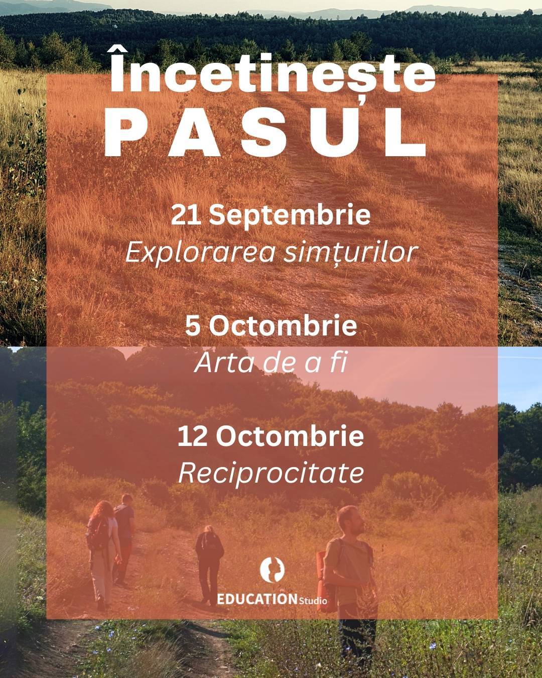 Încetinește Pasul - explorări în natură prin Forest Therapy