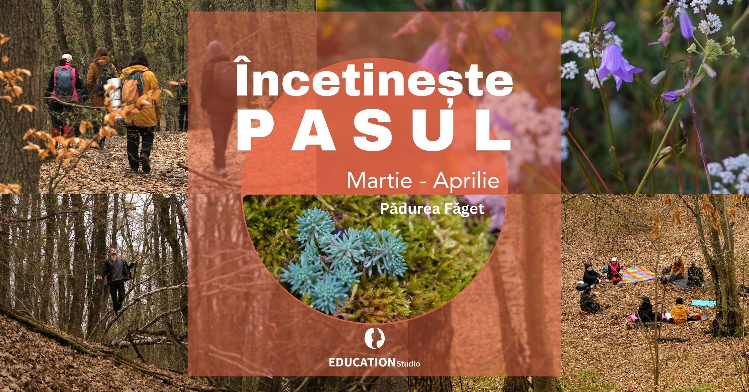 Încetinește Pasul (Forest Therapy) | 3 întâlniri în Pădurea Făget