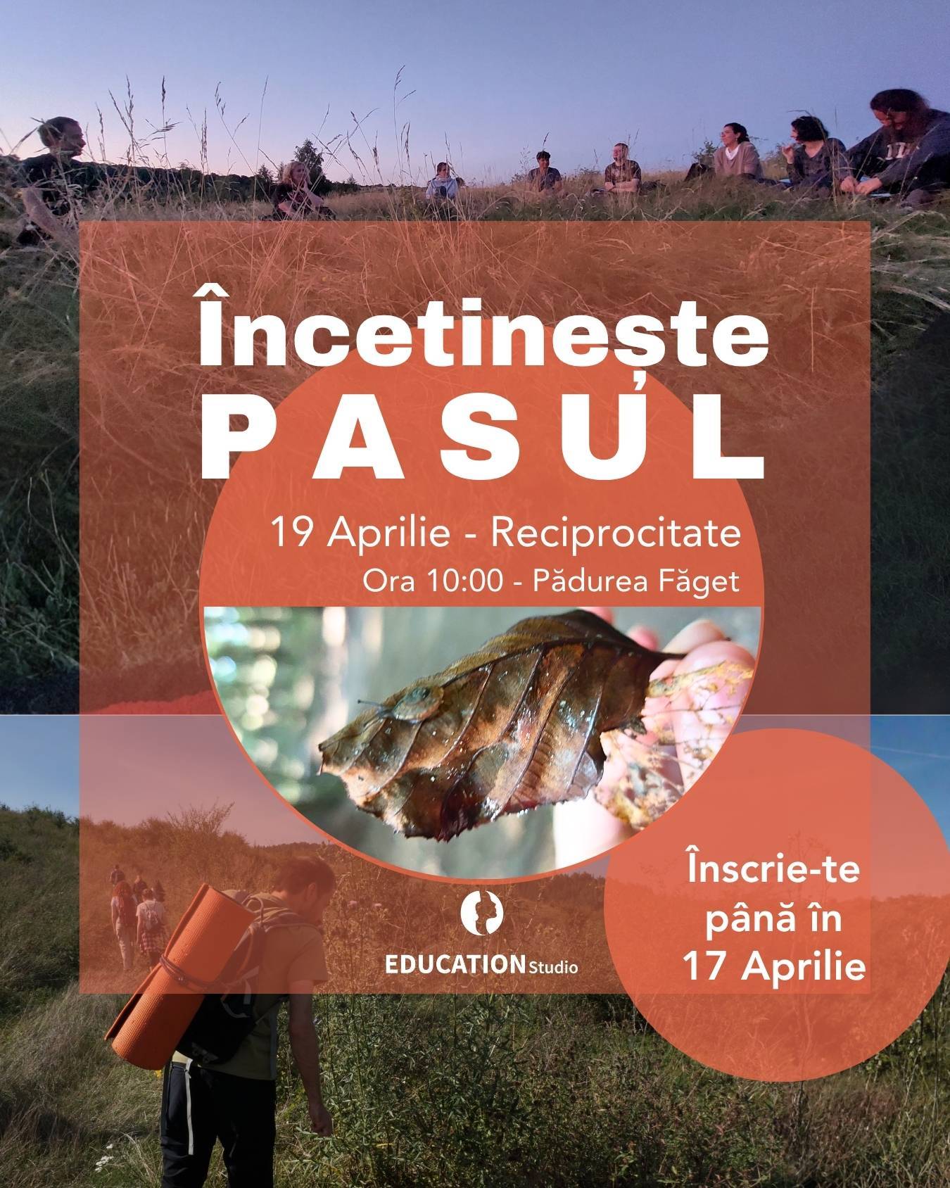 Încetinește Pasul - Forest Therapy în Pădurea Făget