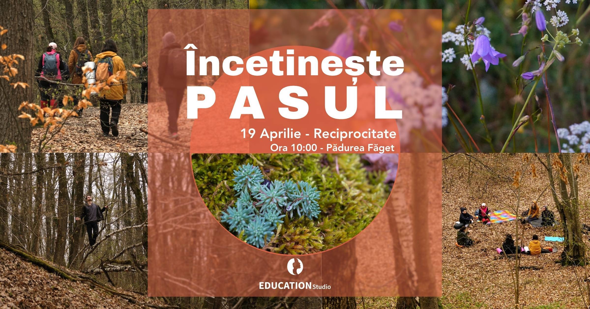 Încetinește Pasul - Forest Therapy în Pădurea Făget