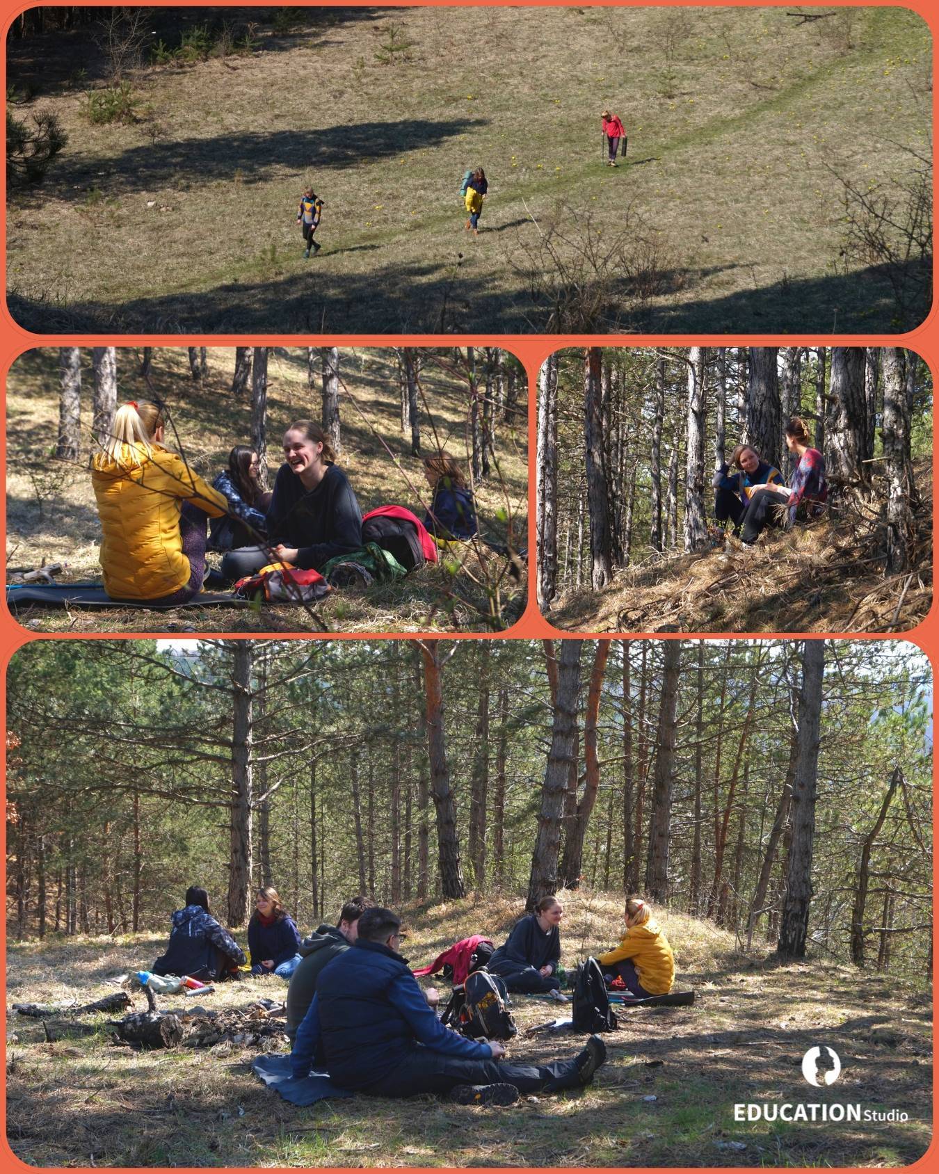 Încetinește Pasul - Forest Therapy în Pădurea Făget