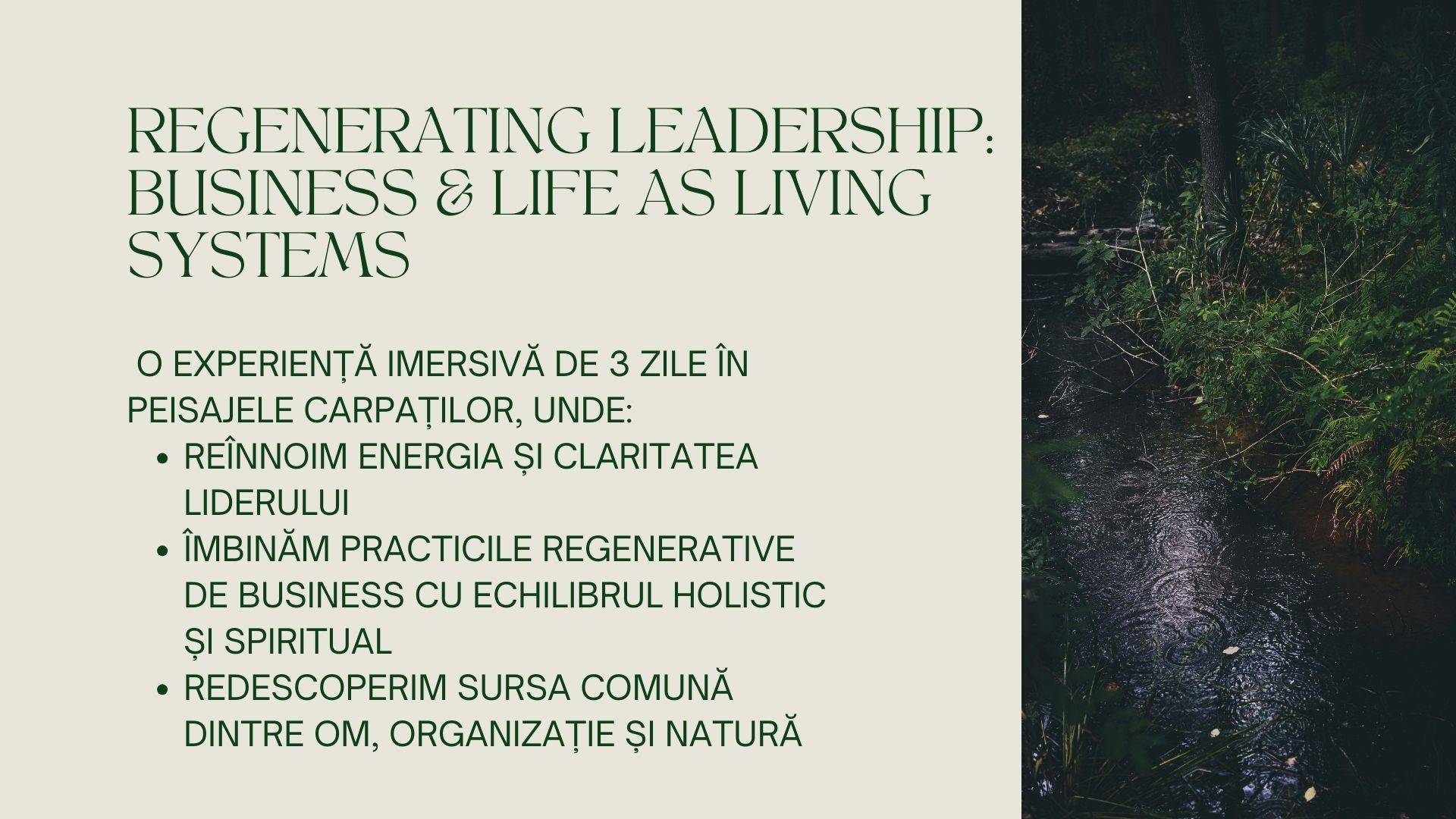 Regenera - Retreat de Leadership Regenerativ