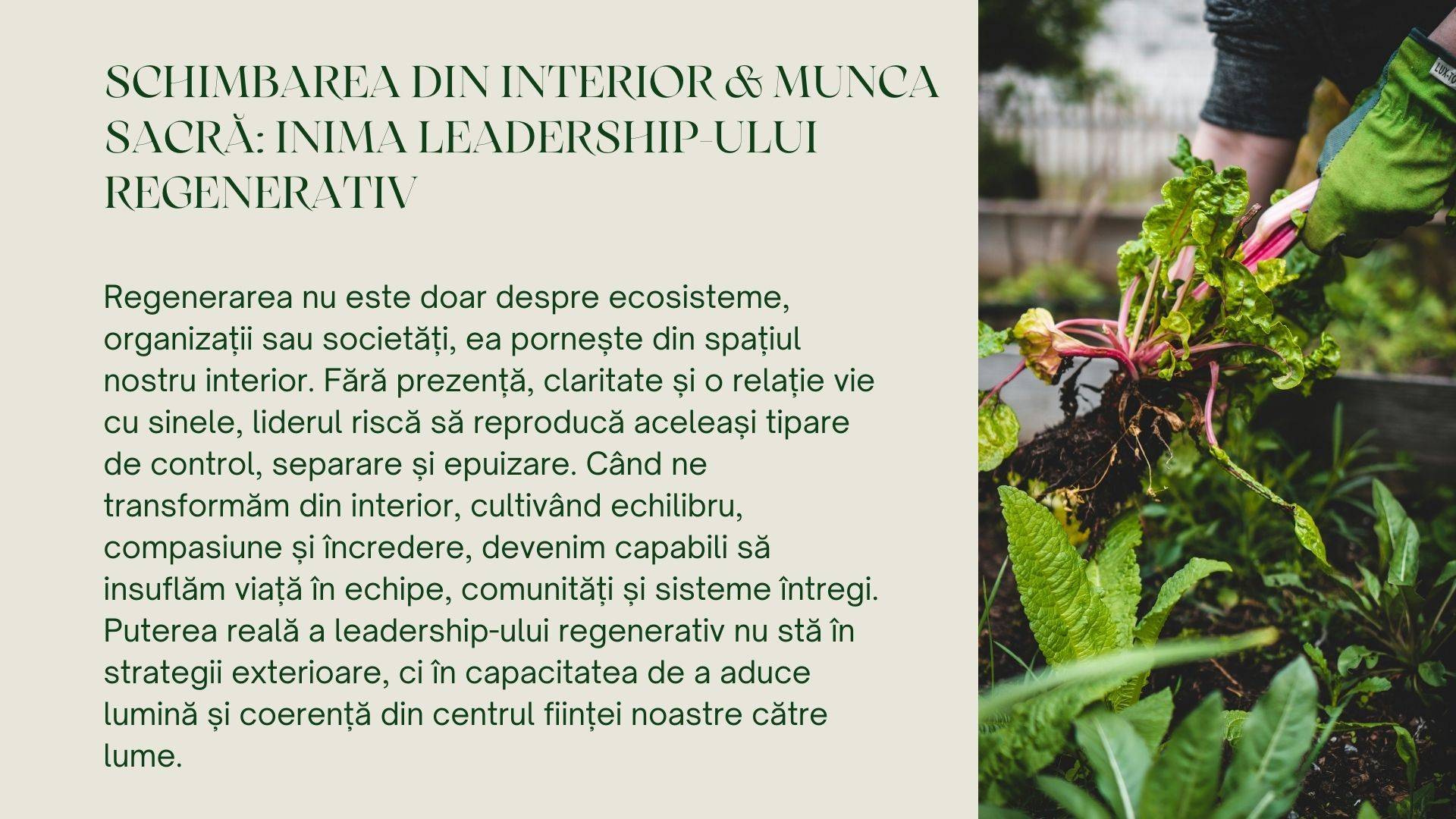Regenera - Retreat de Leadership Regenerativ