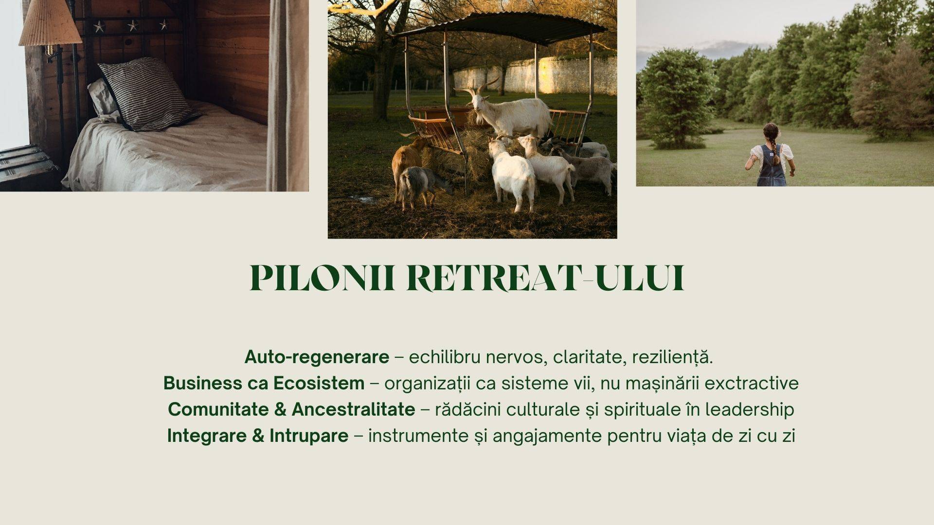 Regenera - Retreat de Leadership Regenerativ