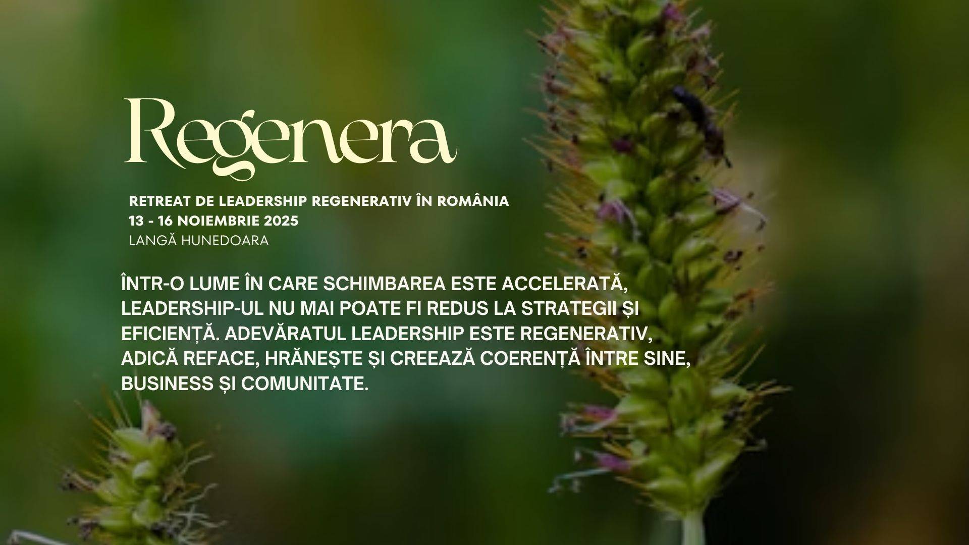 Regenera - Retreat de Leadership Regenerativ