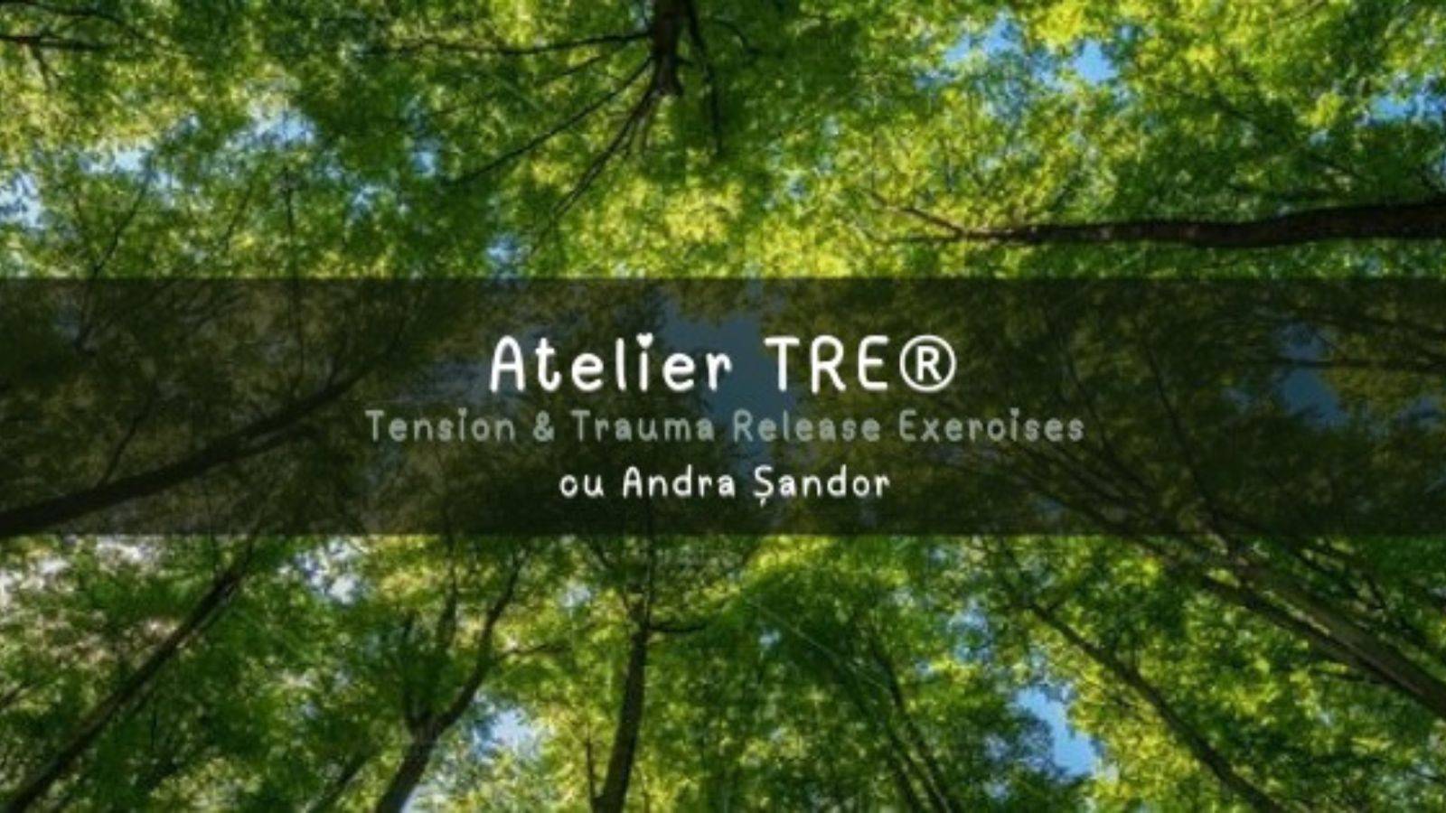 🌿 TRE® – Atelier de relaxare profundă & reîntoarcere la tine • 23 noiembrie 2025